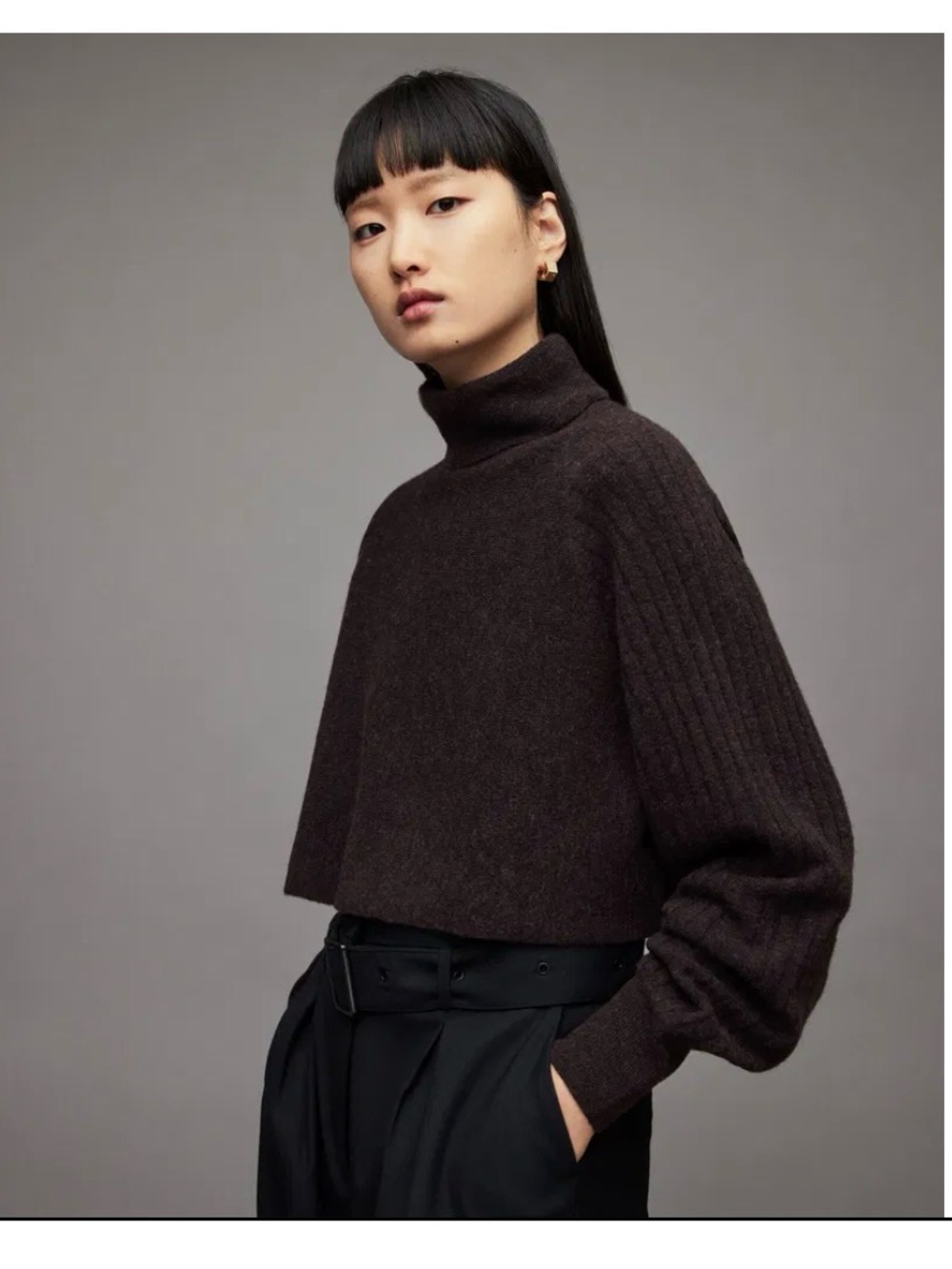AllSaints Cropped Turtleneck Sweater in Dark Brown